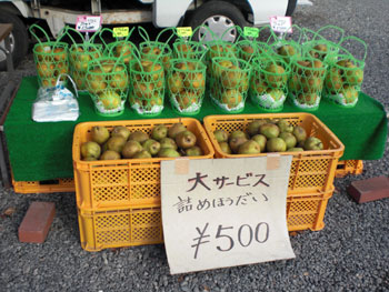 詰め放題