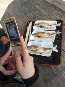 鮎の塩焼き