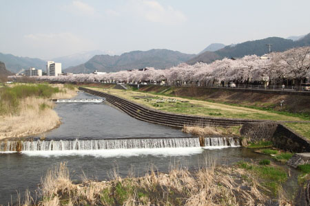 さくら咲く