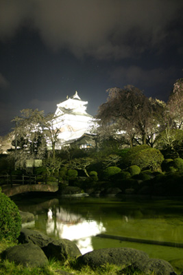 上山城の夜桜