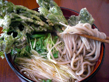今日の昼飯