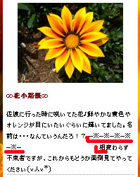 プチ講座3