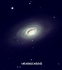meraina