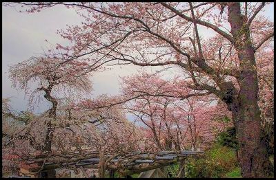 ☆上山・湯の町にある三不動尊☆
