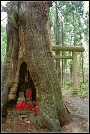 ☆白鷹・山形獅子舞１００選～弐の舞☆