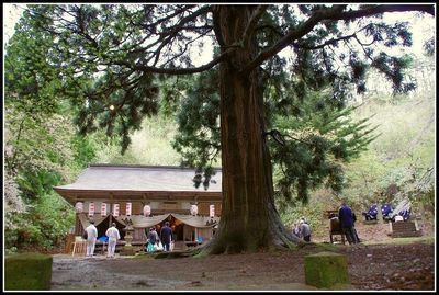 ☆白鷹・山形獅子舞１００選～弐の舞☆