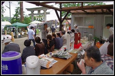 ☆南陽・諏訪神社～雨の芍薬の杜☆
