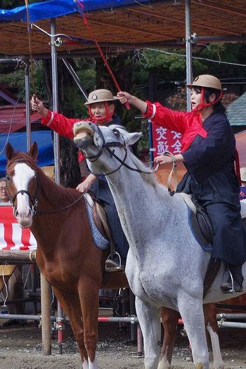 ☆山形・豊烈神社～一年最後の祭りに出会いの花が咲きました☆