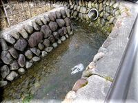 悲しいな～。。。