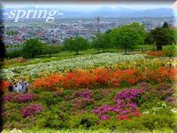 長岡山♪