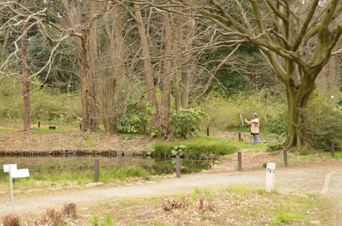 猫小石川植物園