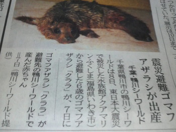 うれしい知らせがっ!!!