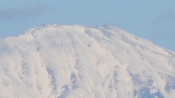 今日の・・・