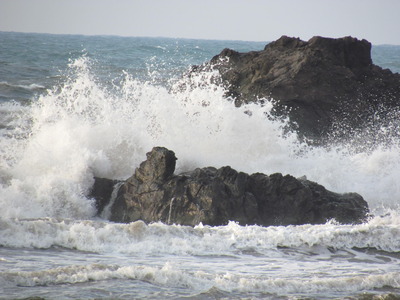 冬の海