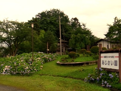イメージ 紫陽花風景@内陸