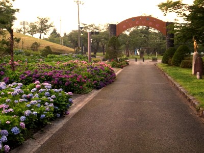 イメージ 紫陽花風景@内陸