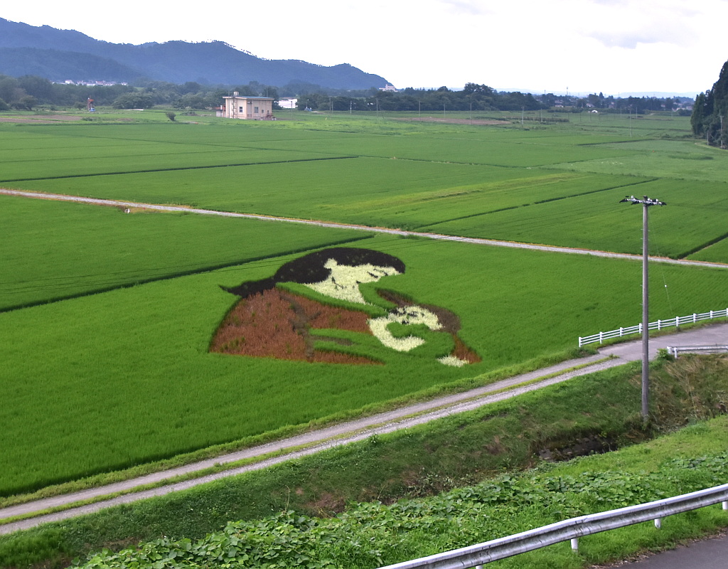 田んぼアート（白鷹町蚕桑駅前夢プロジェクト）