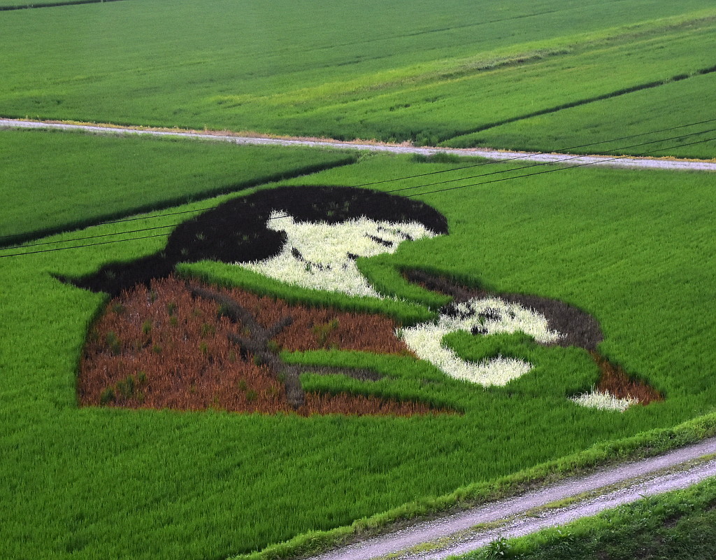 田んぼアート（白鷹町蚕桑駅前夢プロジェクト）
