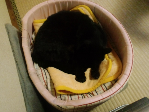 今こごぉ