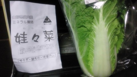 作ったんだけど・・・