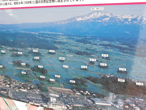 R 八千代寿し（秋田県にかほ市）＆ねむの丘象潟展望台からの風景