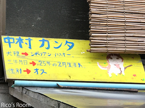 R シベリアンハスキーと戯れるRicoママ!酒田『手打ちそば/なかむら』で、新そば&麦切りをいただくの巻♪ R シベリアンハスキーと戯れるRicoママ!酒田『手打ちそば/なかむら』で、新そば&麦切りをいただくの巻♪