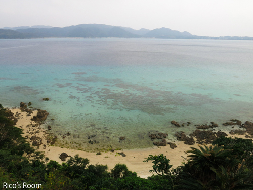 R<荘内南洲会/南洲翁の遺徳を訪ねる旅2020『奄美大島』>vol.3『奄美パーク/ネイティブシー奄美(交流会) R<荘内南洲会/南洲翁の遺徳を訪ねる旅2020『奄美大島』>vol.3『奄美パーク/ネイティブシー奄美(交流会)