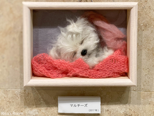 R 酒田市美術館『中山みどりフェルトアート展』に、ほっこり癒されました♡ R 酒田市美術館『中山みどりフェルトアート展』に、ほっこり癒されました♡