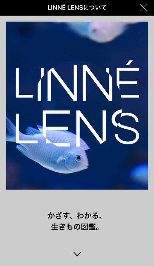 R これはすごいアプリ！かざすAI図鑑『LINNE LENS（リンネレンズ）』で、確信度100%と84%にびっくり！の巻
