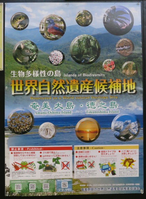 R<荘内南洲会/南洲翁の遺徳を訪ねる旅2020『奄美大島』>vol.3『奄美パーク/ネイティブシー奄美(交流会) R<荘内南洲会/南洲翁の遺徳を訪ねる旅2020『奄美大島』>vol.3『奄美パーク/ネイティブシー奄美(交流会)