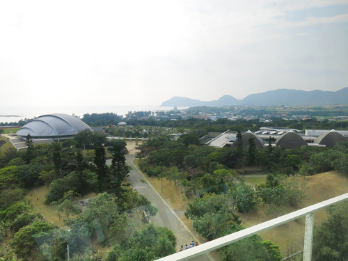 R<荘内南洲会/南洲翁の遺徳を訪ねる旅2020『奄美大島』>vol.3『奄美パーク/ネイティブシー奄美(交流会) R<荘内南洲会/南洲翁の遺徳を訪ねる旅2020『奄美大島』>vol.3『奄美パーク/ネイティブシー奄美(交流会)