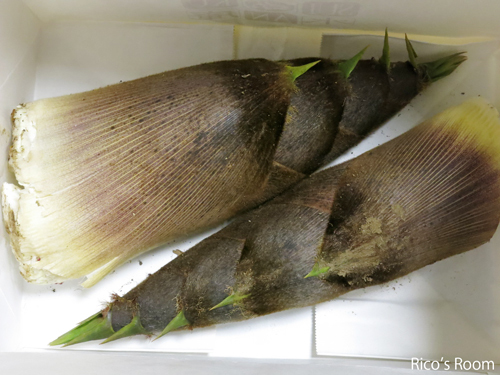R 佐々木蔵治とうふ店の揚げたて熱々の絶品『あぶらげ』&松山産『孟宗』をいただきました♡ R 佐々木蔵治とうふ店の揚げたて熱々の絶品『あぶらげ』&松山産『孟宗』をいただきました♡