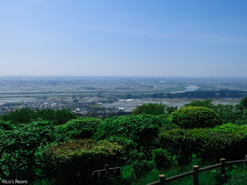 R『大井俊子さんを偲ぶ会』總光寺〜墓参〜焼肉千山閣山王店 R『大井俊子さんを偲ぶ会』總光寺〜墓参〜焼肉千山閣山王店