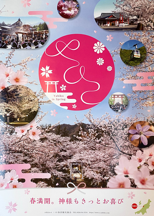 R 新潟県『五泉市チューリップまつり2023』＆『春の弥彦神社・正式参拝』