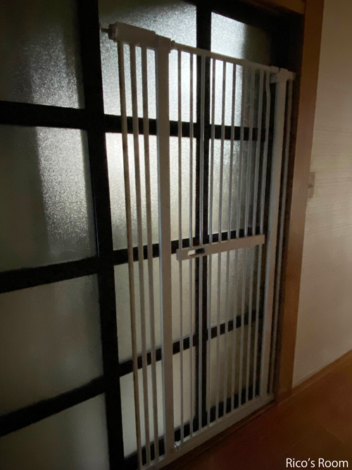 R 吾輩は人である!& 脱走防止柵設置! R 吾輩は人である!& 脱走防止柵設置!