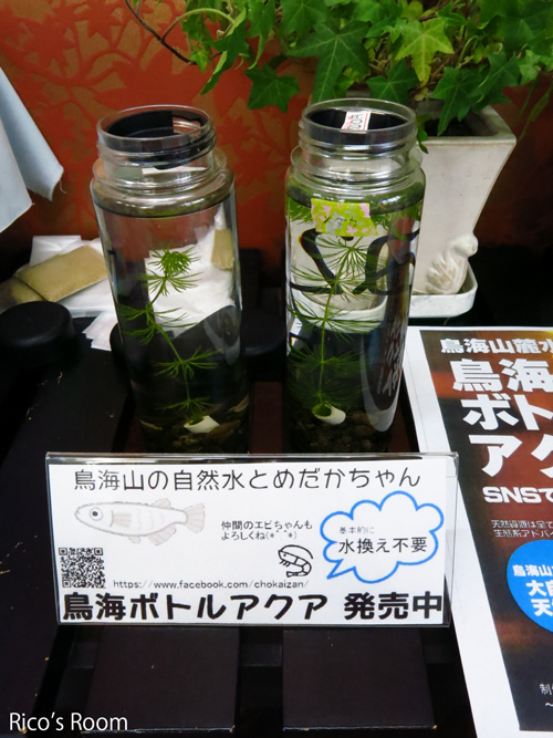 R 本日より『なご美市』が始まりましたよ〜♪素敵なオンリーワンを見つけました♡ R 本日より『なご美市』が始まりましたよ〜♪素敵なオンリーワンを見つけました♡