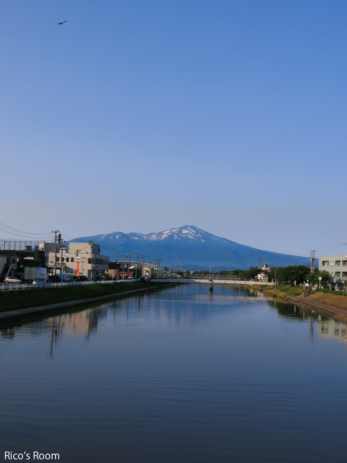 R 『手打ちそば/なかむら』天板そば&新井田川から望む鳥海山 R 『手打ちそば/なかむら』天板そば&新井田川から望む鳥海山
