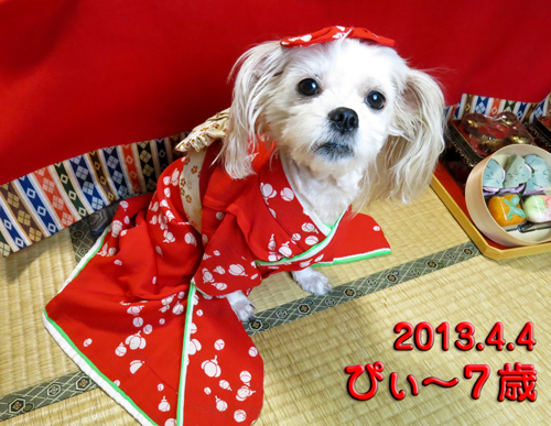 R4月4日は、我が家のひな祭り&ぴぃ〜ちゃん7歳の誕生日♪