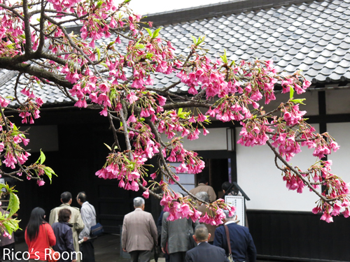 R2013.3旅行記2『西郷先生蘇生の家&仙巌園』@鹿児島