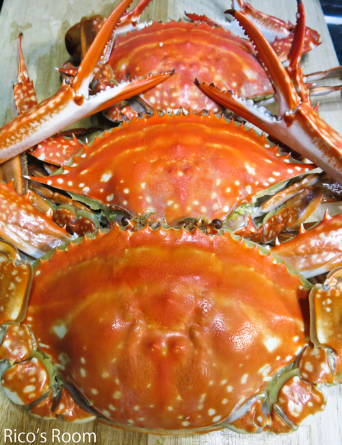 R うなぎの日vs日本海のワタリガニ・鯛・平目・魴鮄・キス