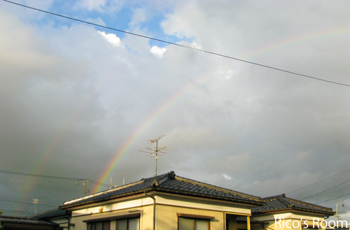 北海道の大地の恵みの贈り物＆二重の虹を見たよの巻♪