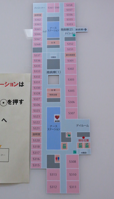 Ricoママの白内障手術完了!現実がファンタジーを超えた!