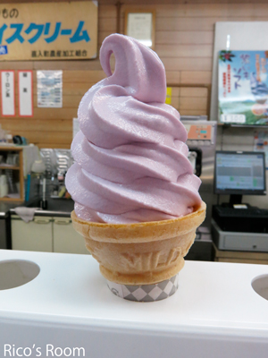 R2013.3旅行記2『西郷先生蘇生の家&仙巌園』@鹿児島