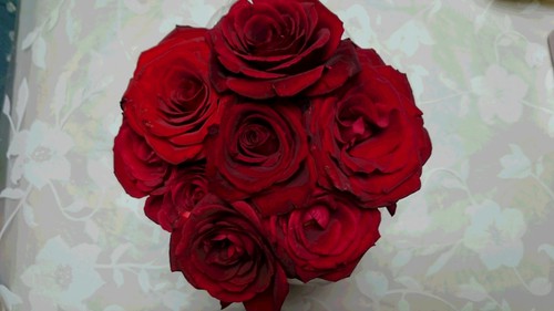 プロポーズの大切なお花♡