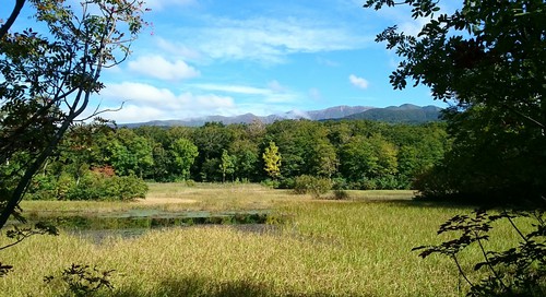 静かな・静かな・・・ 静かな・静かな・・・