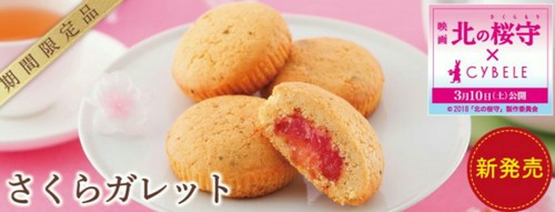 北の桜守とシベールさん