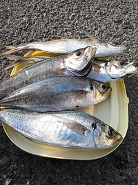 飛島
