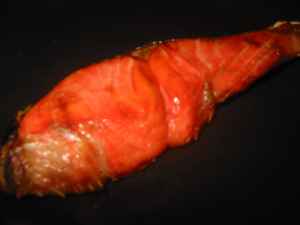 産卵の為に川にもどる「秋鮭」は脂の乗らない魚