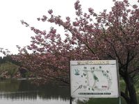 宮山坂公園