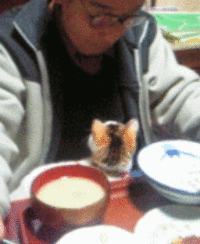 義父の愛人？